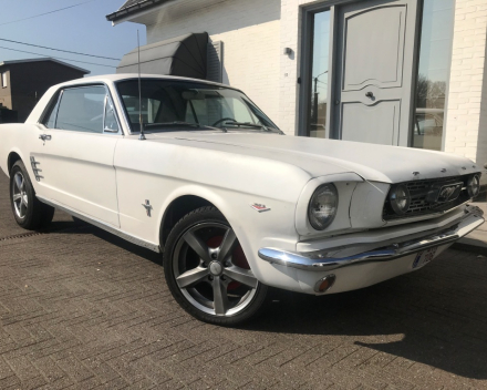 OLDTIMER  FORD MUSTANG  4,7 V8   15/09/1966   67648 KM