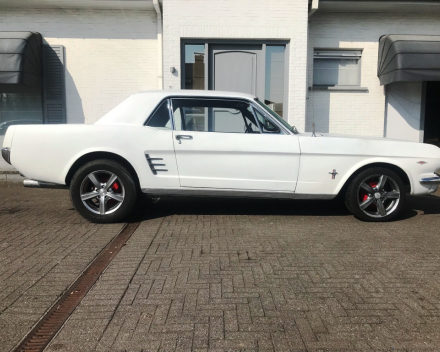 OLDTIMER  FORD MUSTANG  4,7 V8   15/09/1966   67648 KM