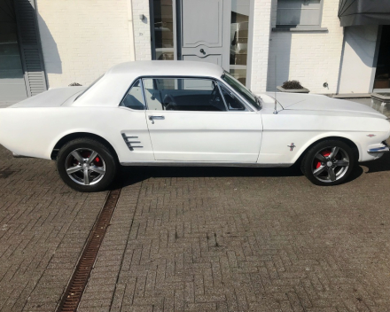 OLDTIMER  FORD MUSTANG  4,7 V8   15/09/1966   67648 KM