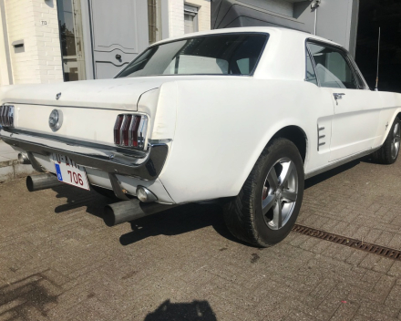 OLDTIMER  FORD MUSTANG  4,7 V8   15/09/1966   67648 KM