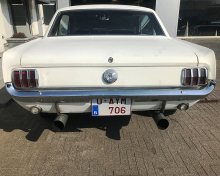 OLDTIMER  FORD MUSTANG  4,7 V8   15/09/1966   67648 KM