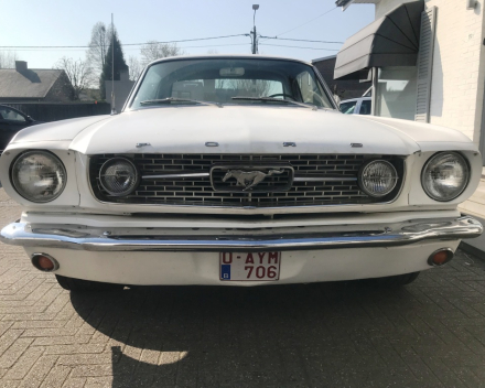 OLDTIMER  FORD MUSTANG  4,7 V8   15/09/1966   67648 KM