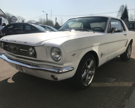 OLDTIMER  FORD MUSTANG  4,7 V8   15/09/1966   67648 KM