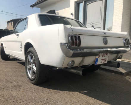 OLDTIMER  FORD MUSTANG  4,7 V8   15/09/1966   67648 KM